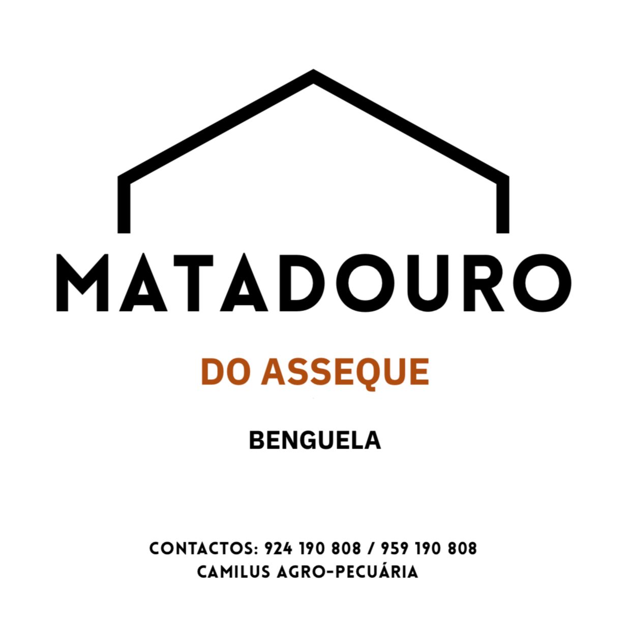 Cliente 5